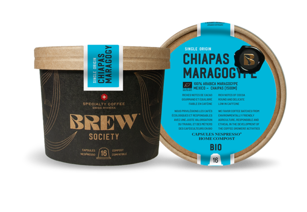 Caspules Chiapas Maragogype Bio